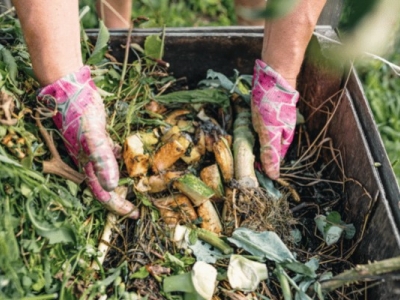 Entretien du compost : Que mettre dans son compost ?