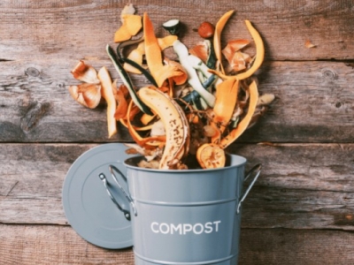 Bac à compost en appartement : Comment composter facilement en intérieur ?