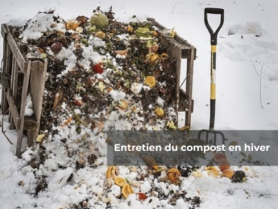 Composter en hiver : Astuces pour un compost actif toute l'année